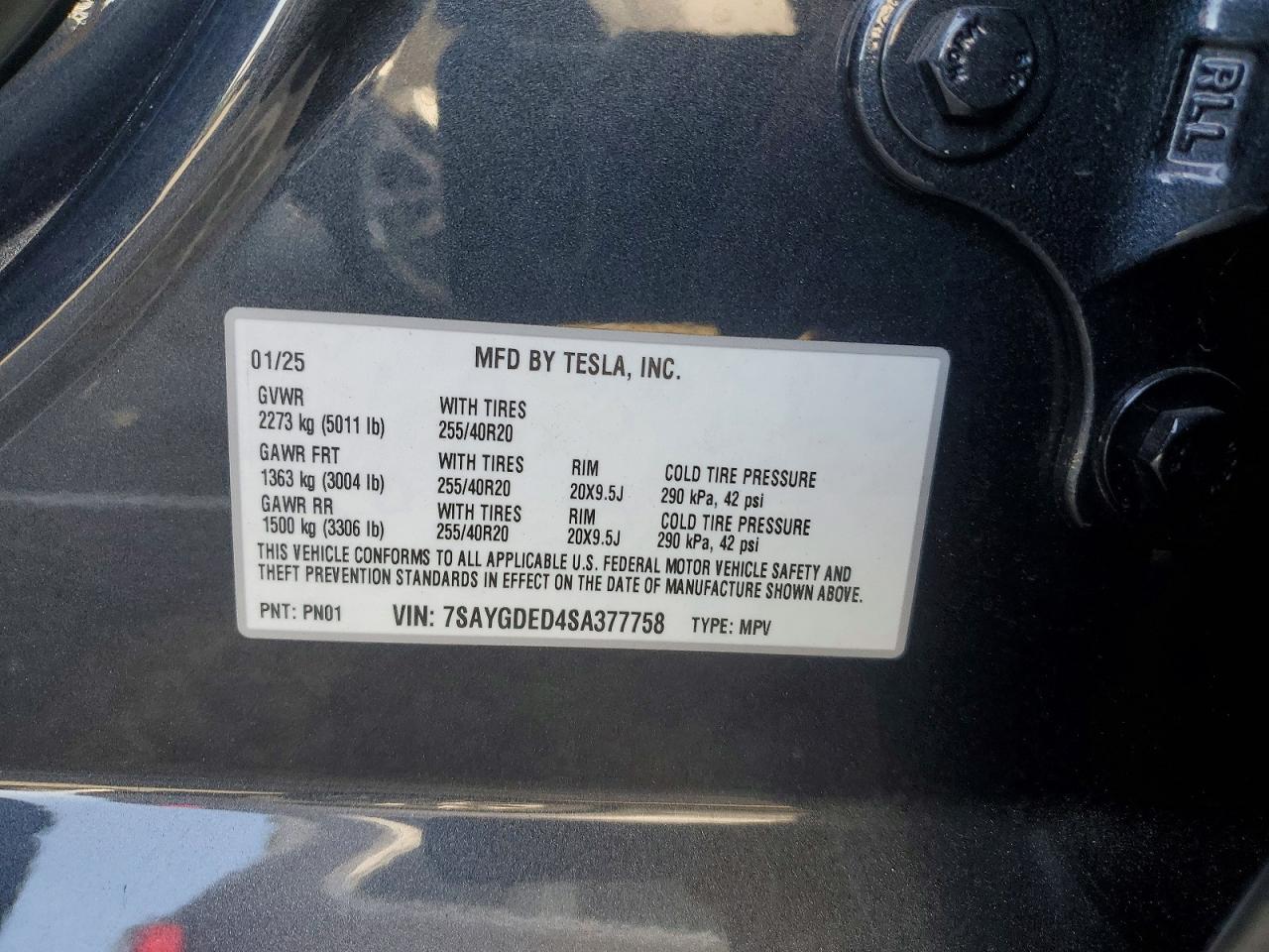 Tesla Model Y