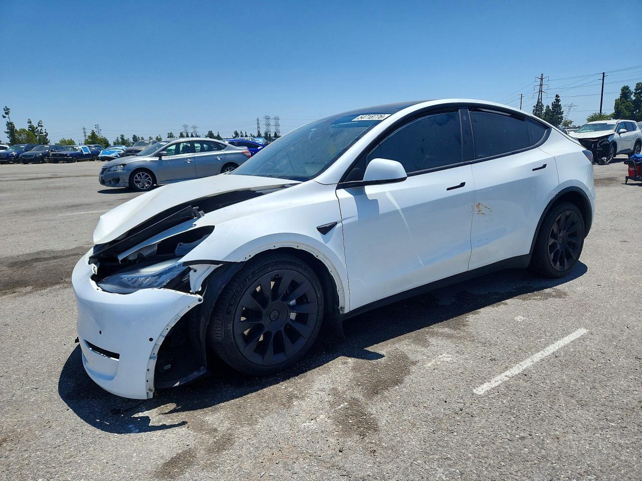 Salvage Tesla Model Y Image