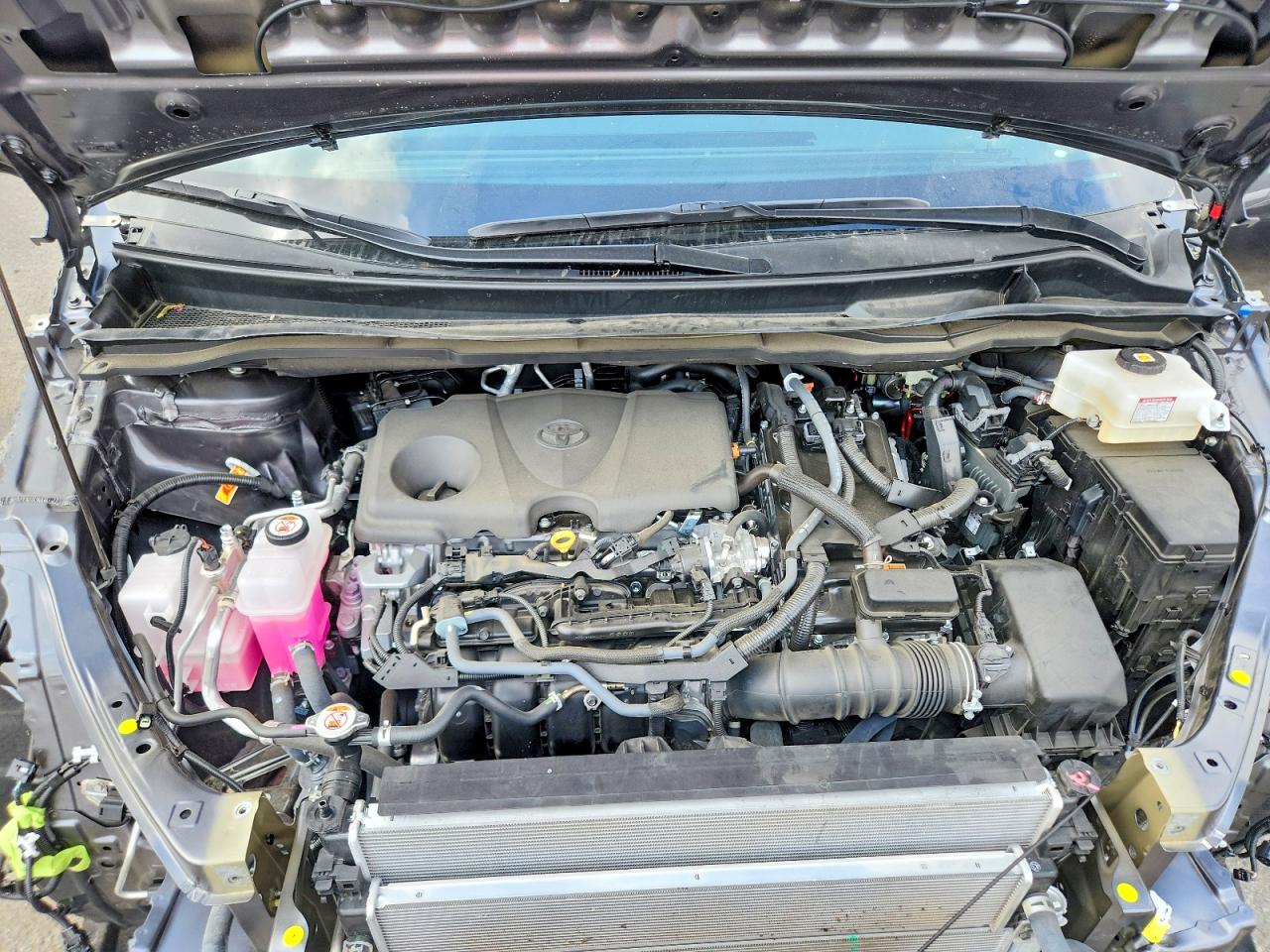 Toyota Sienna Xle 7-passenger