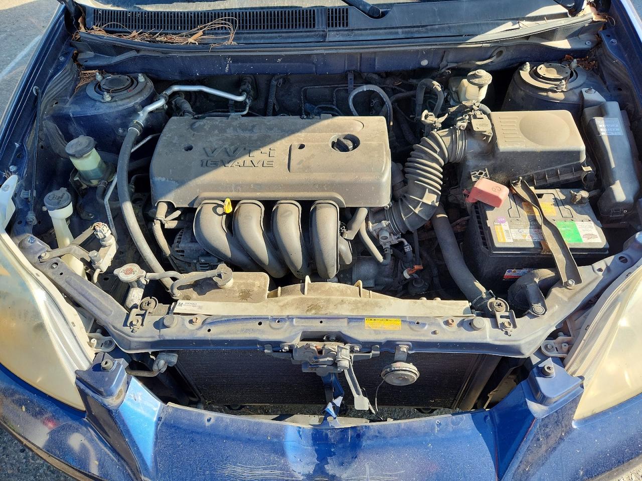 Toyota Corolla Xr