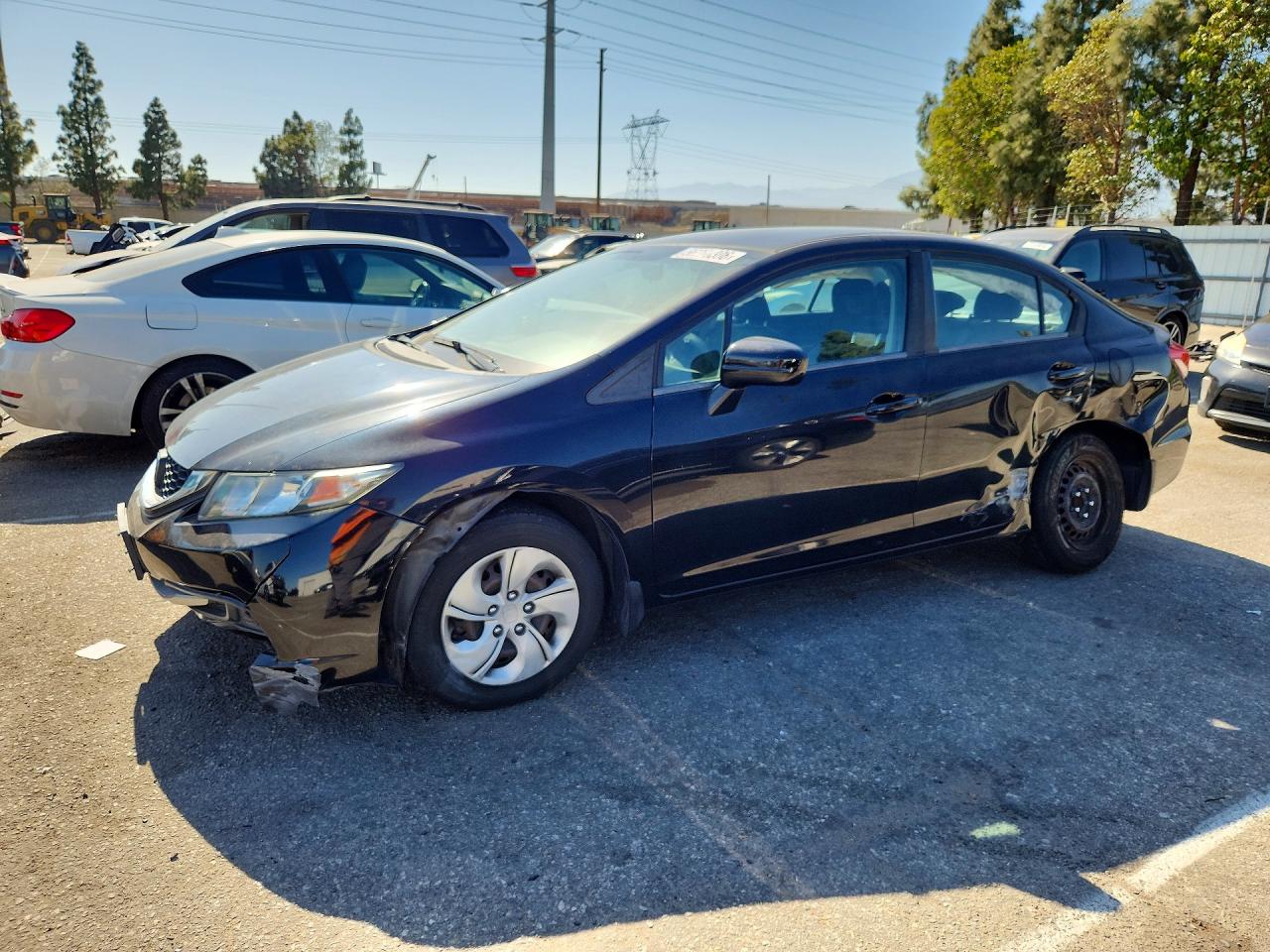 Salvage Honda Civic Image