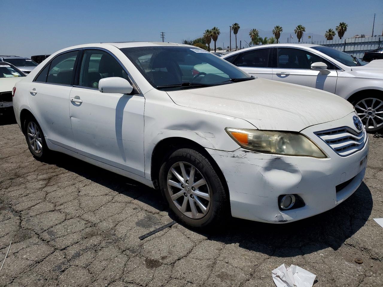 Toyota Camry Xle V6