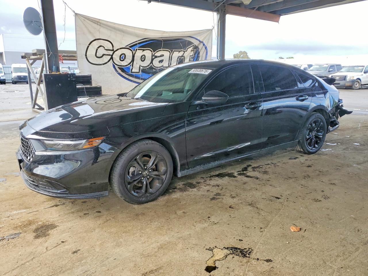Salvage Honda Accord Image