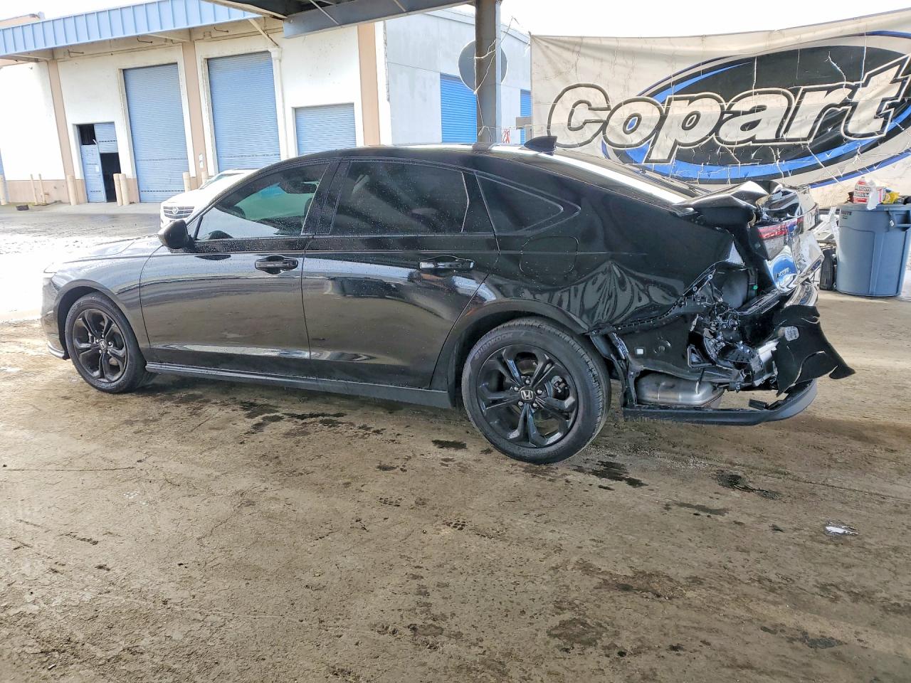 Honda Accord Se
