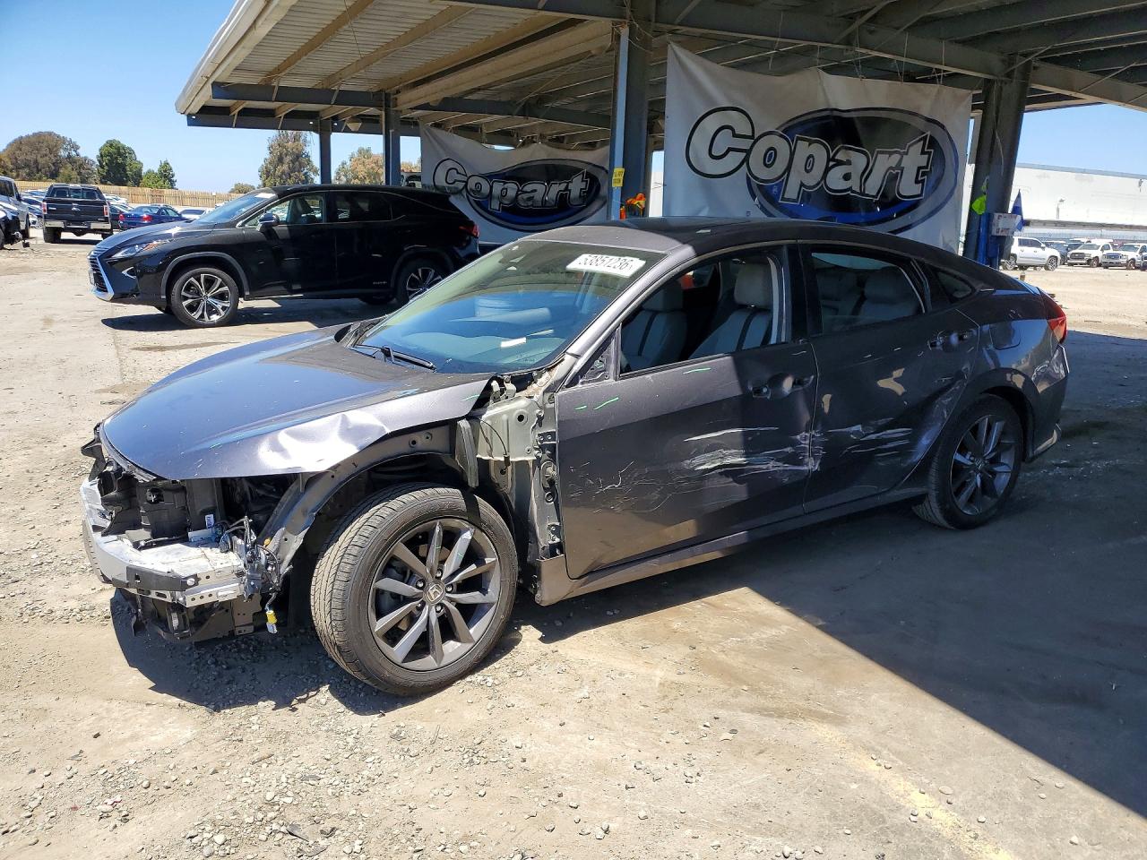Salvage Honda Civic Image
