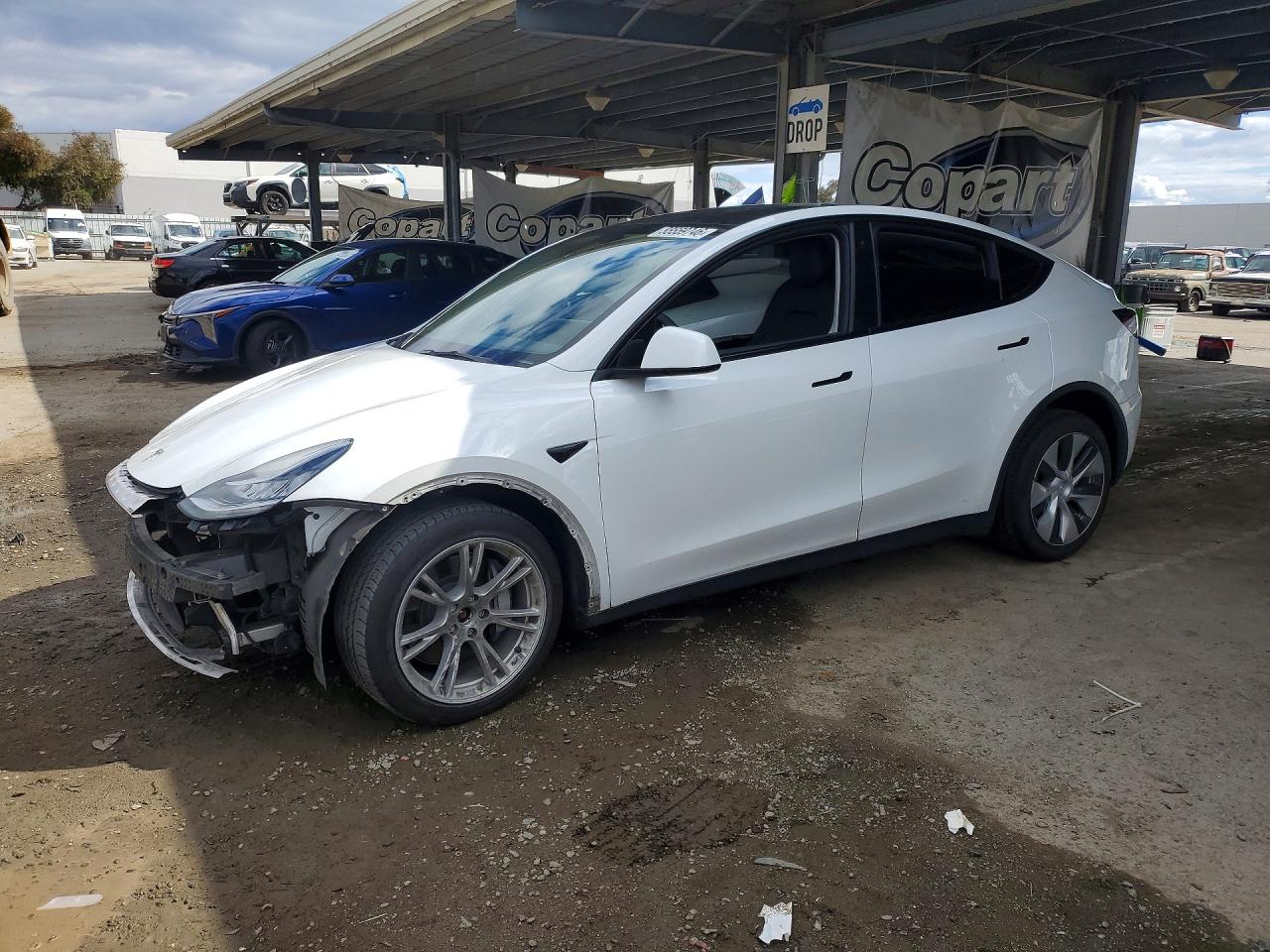 Salvage Tesla Model Y Image