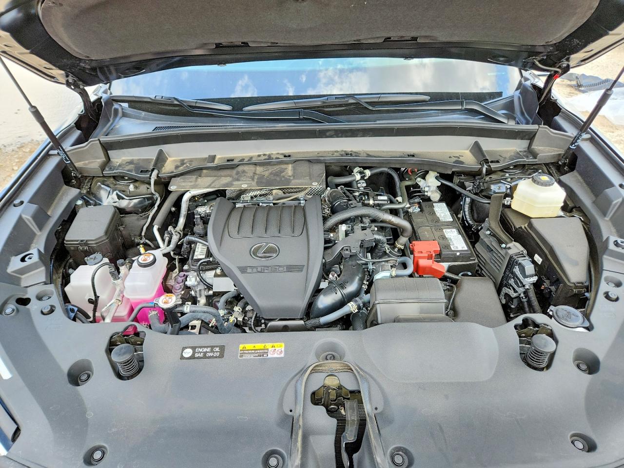 Lexus Other Premium