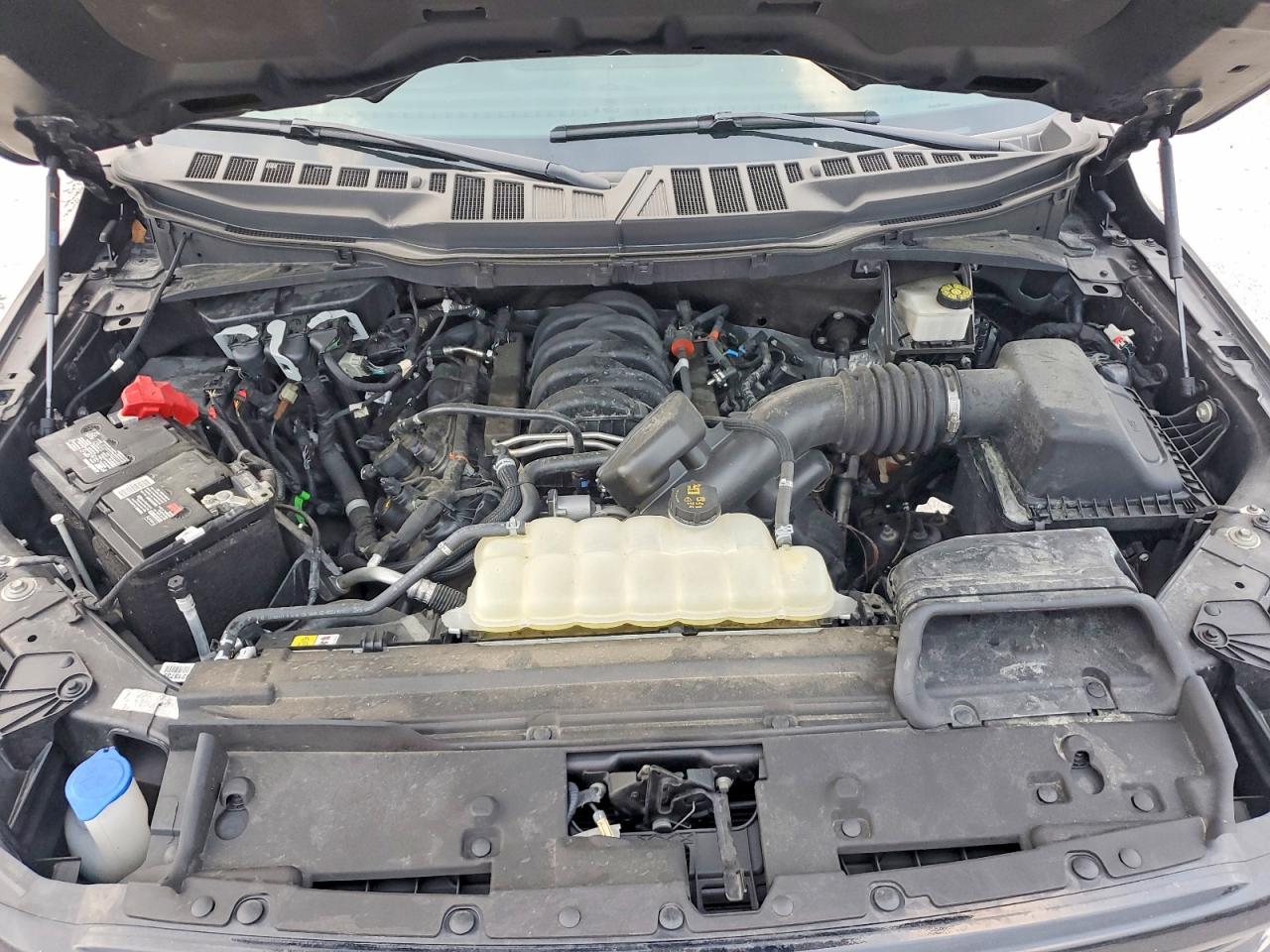 Ford F-150 Xlt