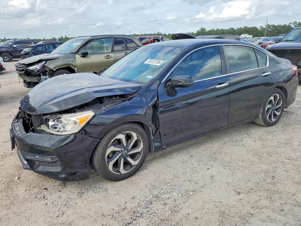 Salvage Honda Accord Image