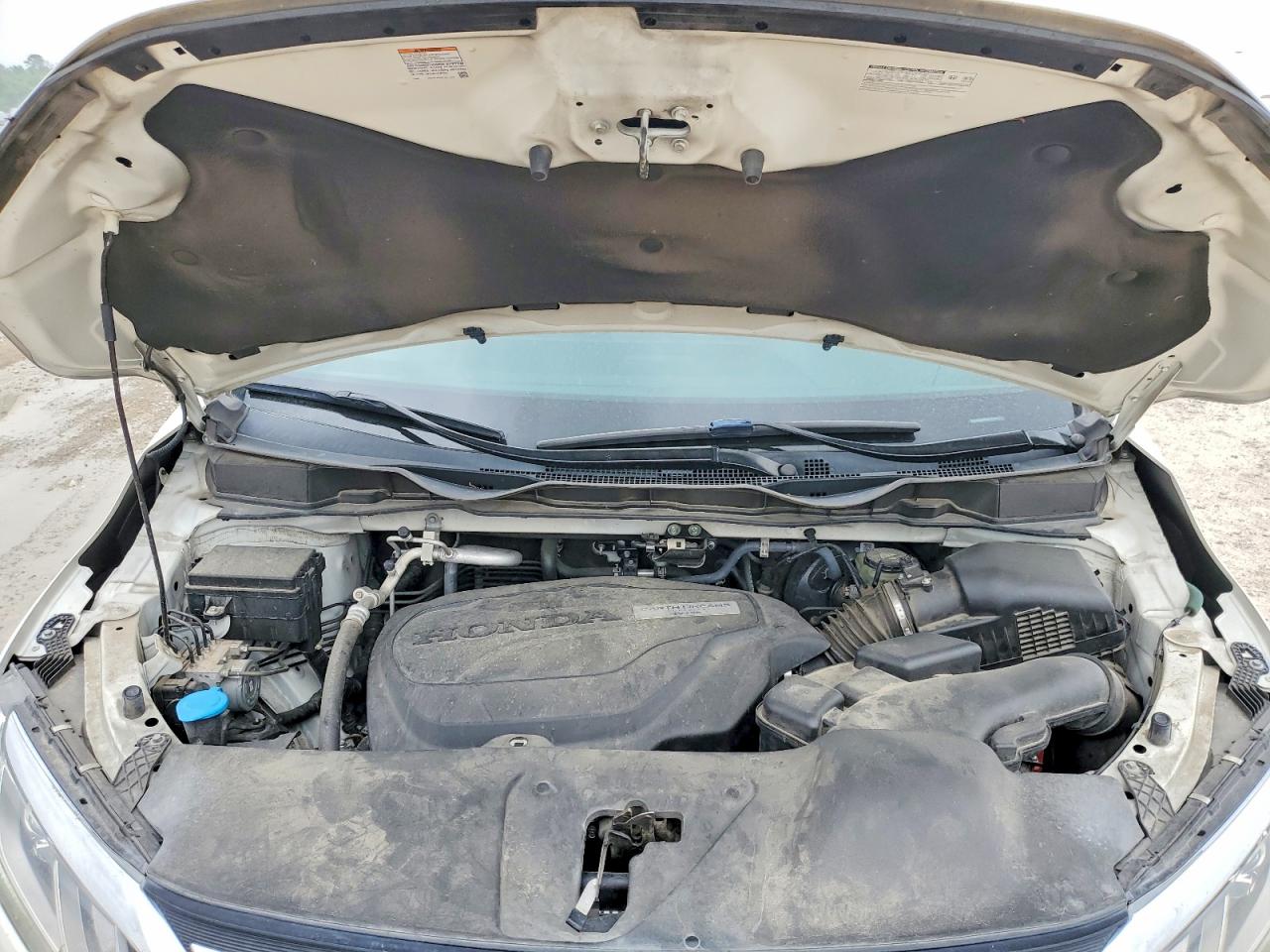 Honda Odyssey Exl