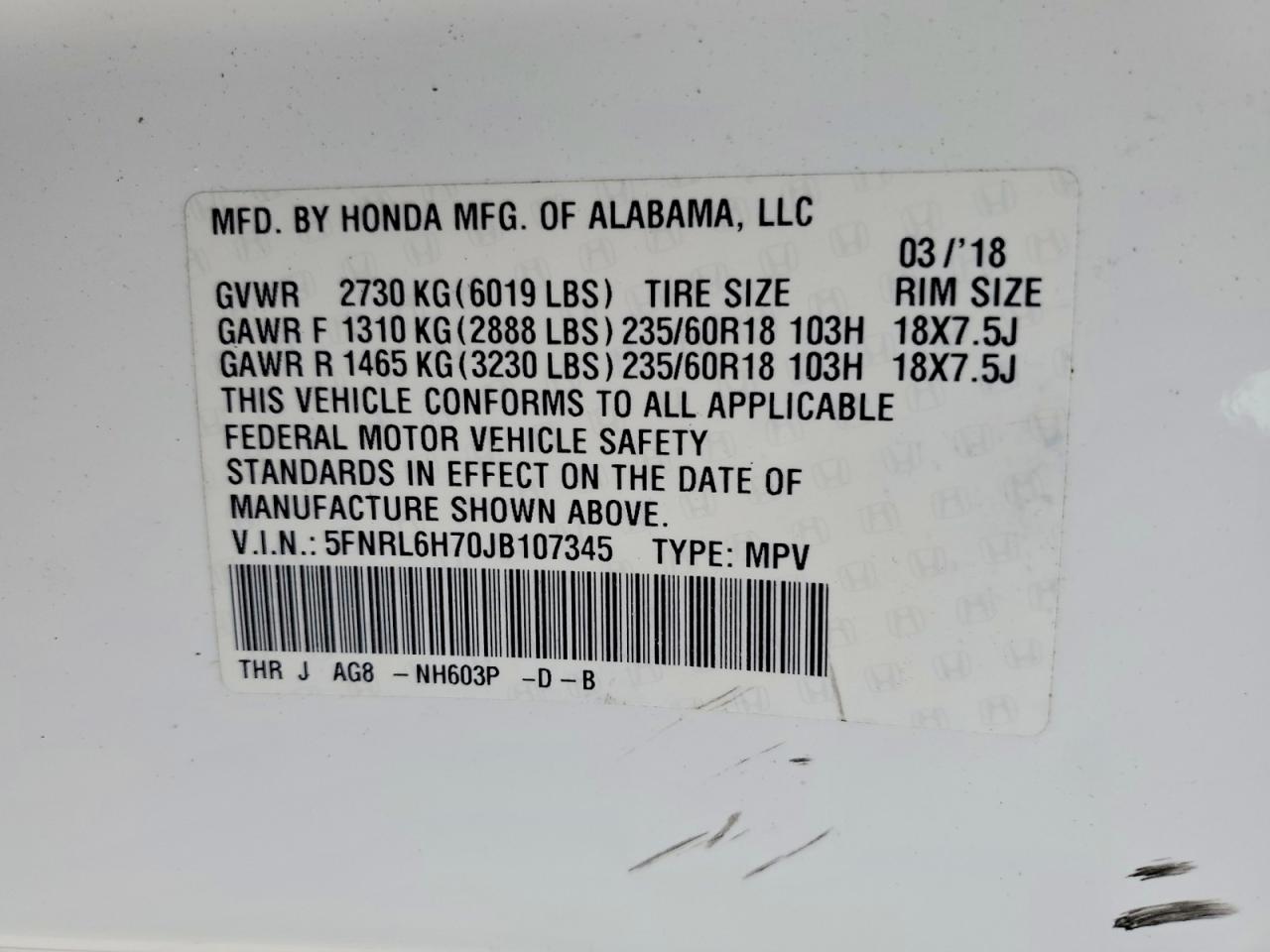 Honda Odyssey Exl