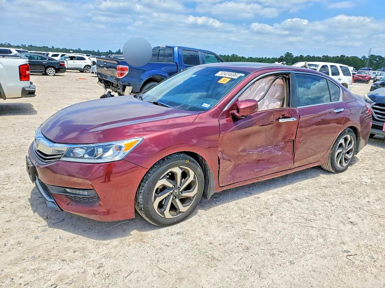 Salvage Honda Accord Image