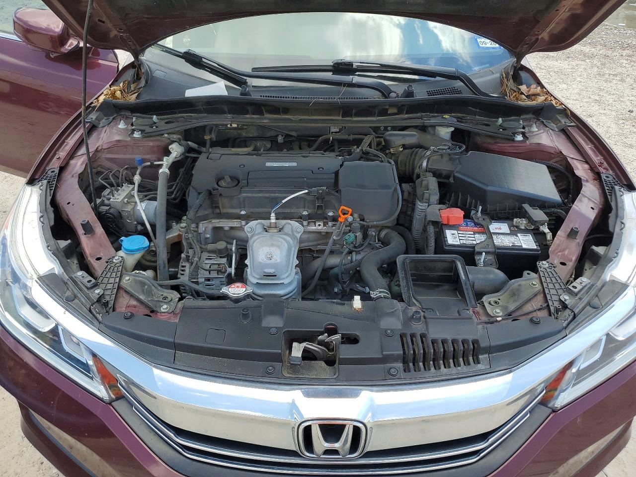 Honda Accord Exl
