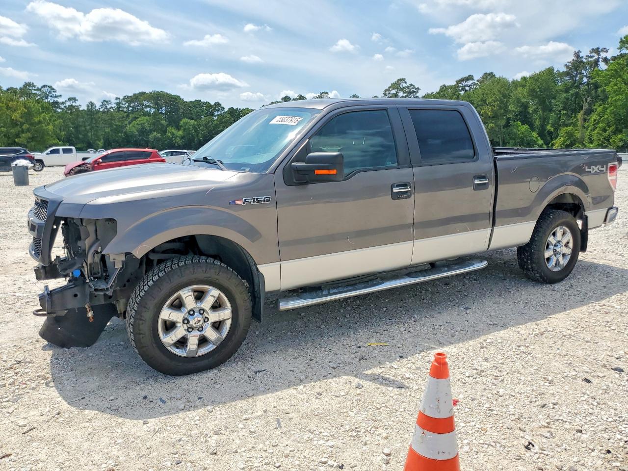 Salvage Ford F-150 Image