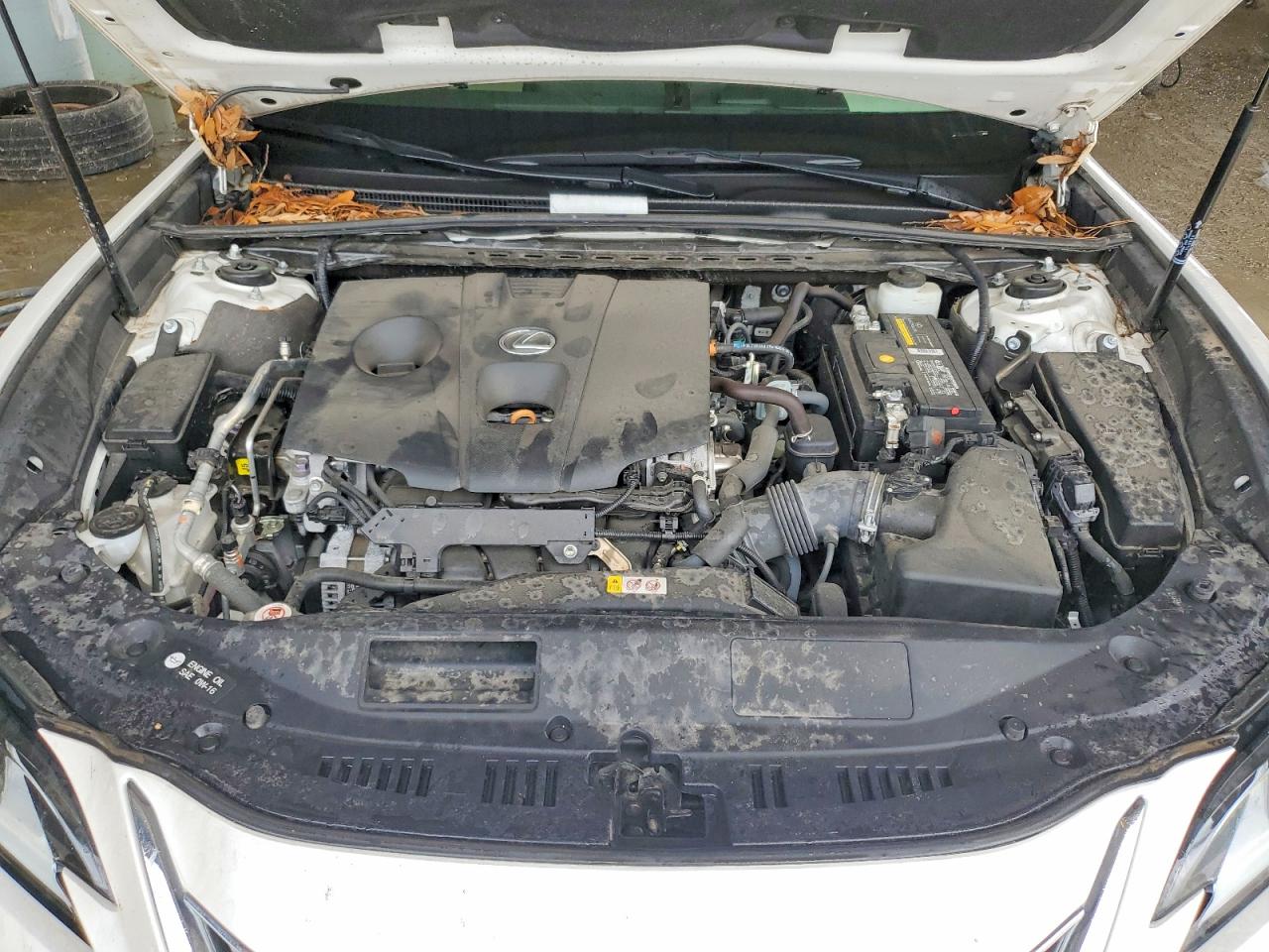 Lexus Es Base