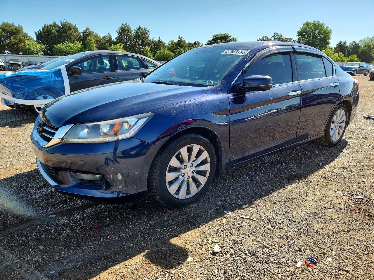 Salvage Honda Accord Image