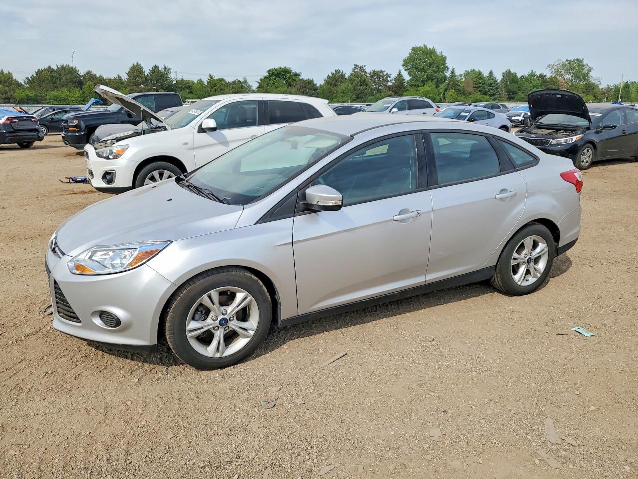 Salvage Ford Focus Image