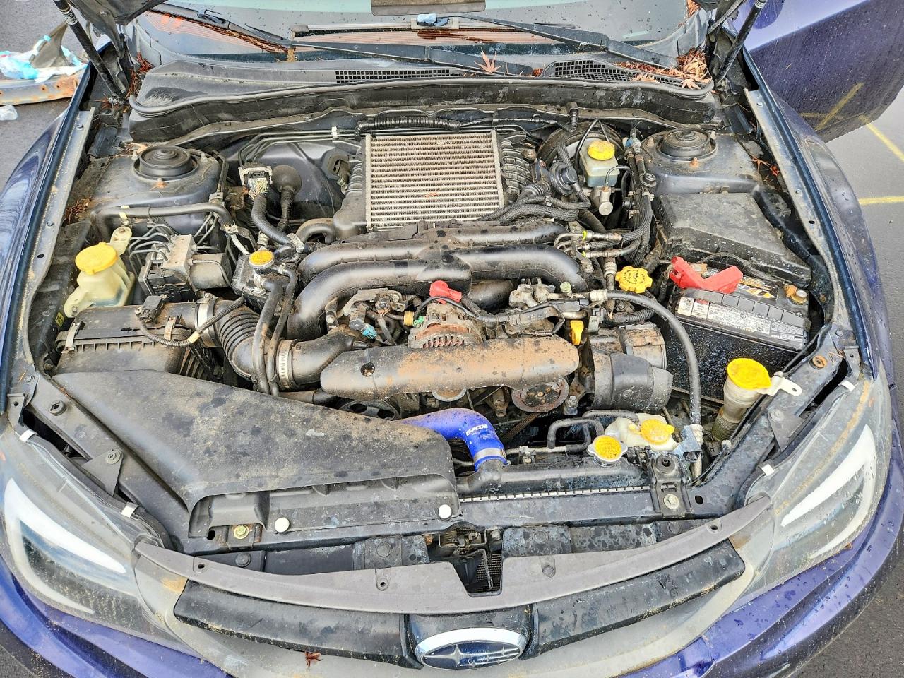 Subaru WRX Wrx