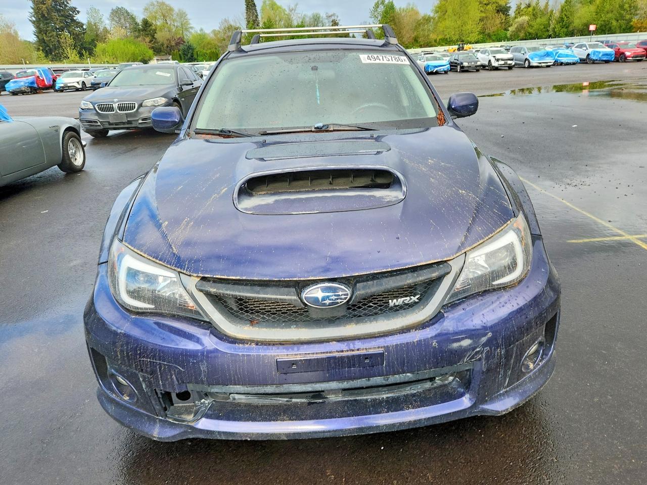 Subaru WRX Wrx