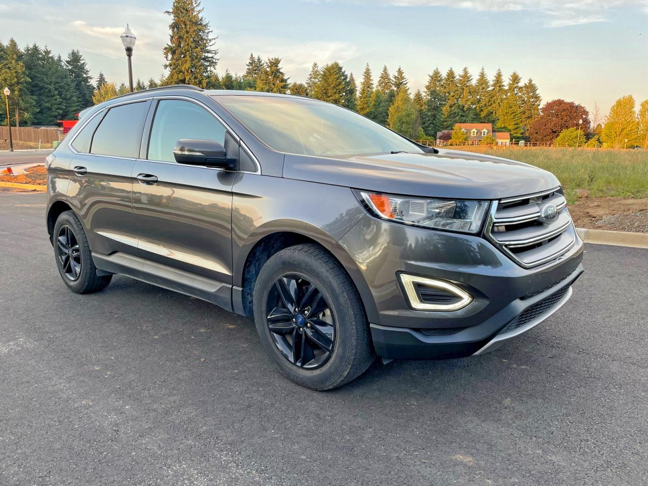 Salvage Ford Edge Image