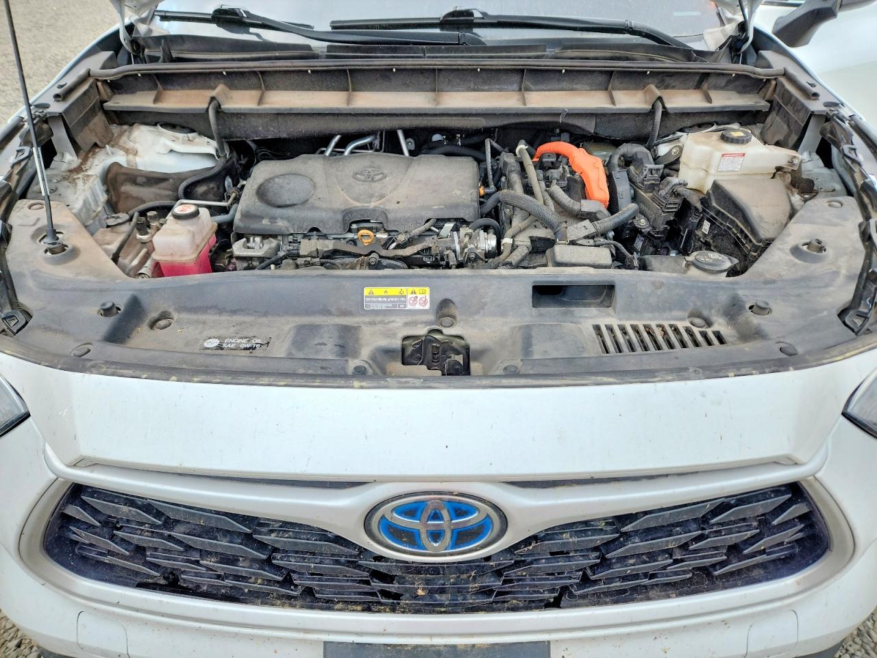 Toyota Highlander Xle
