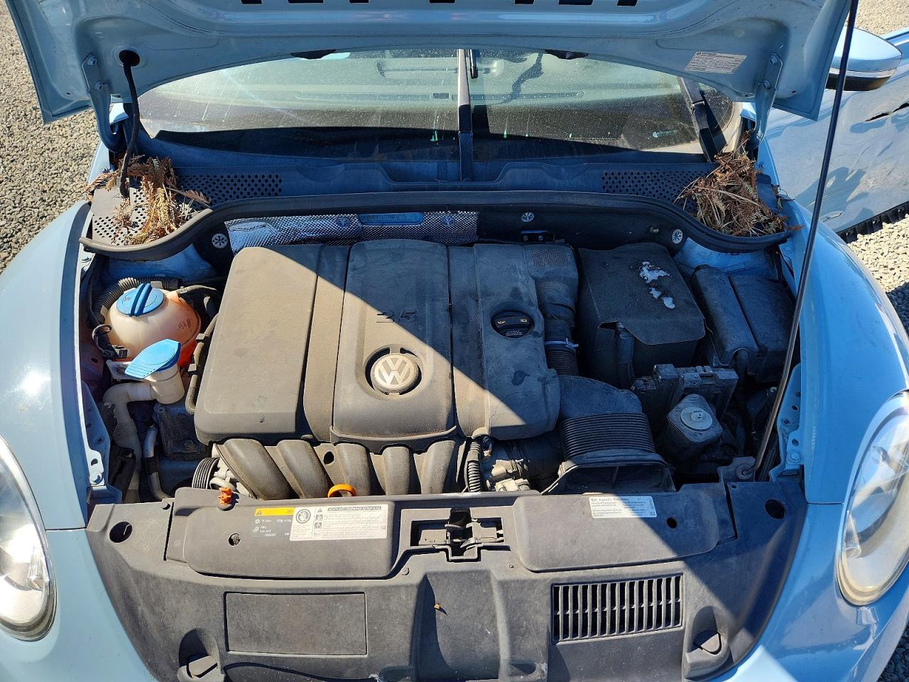 Volkswagen Beetle