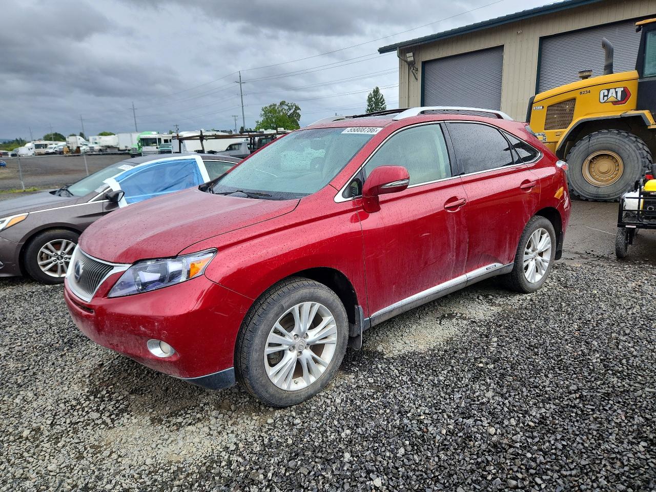 Salvage Lexus RX Image