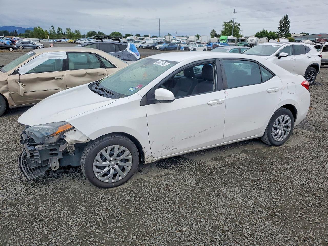 Salvage Toyota Corolla Image