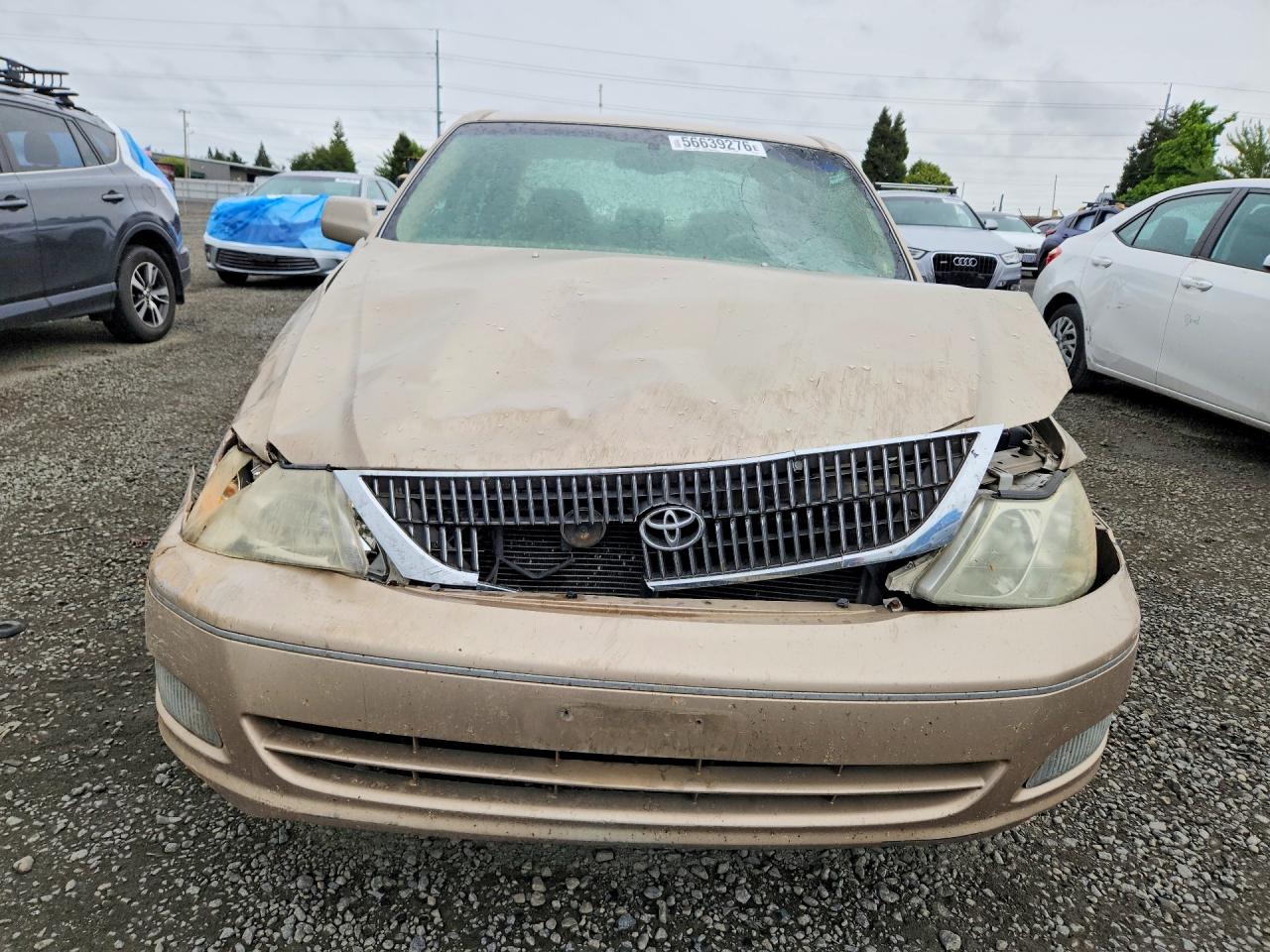 Toyota Avalon Xls