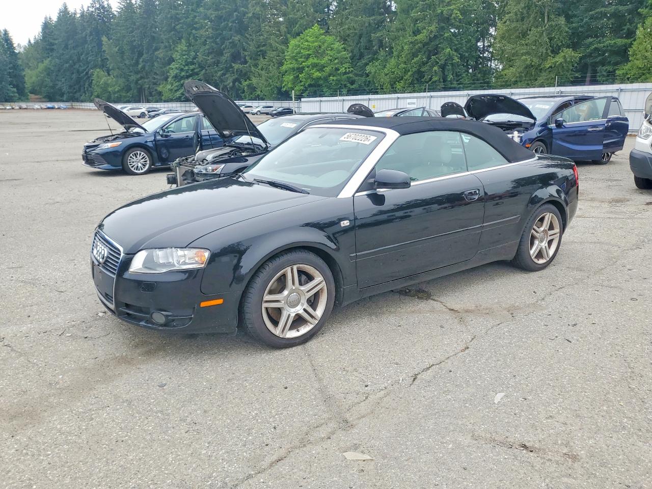 Salvage Audi A4 Image