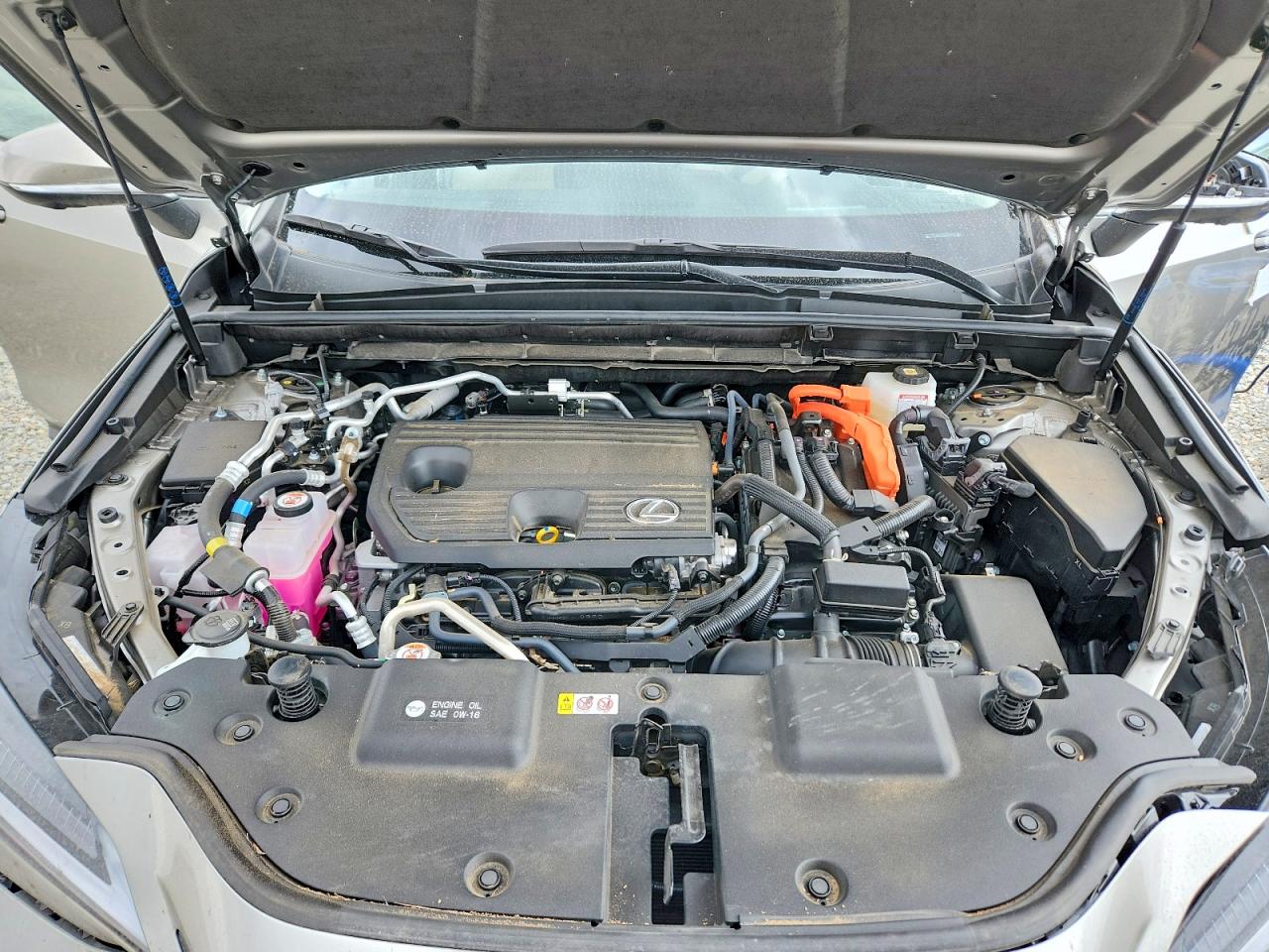 Lexus NX Base