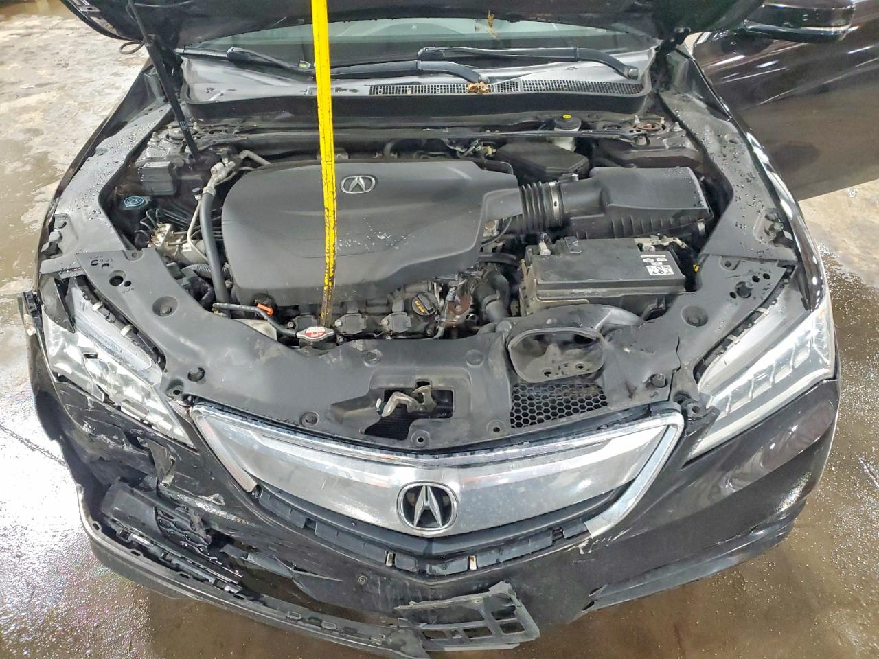 Acura TLX Tech