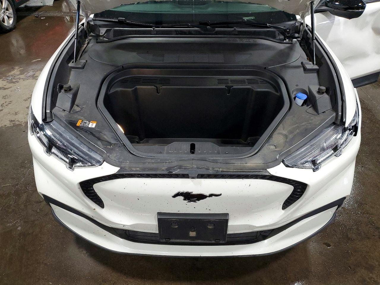 Ford Mustang Select