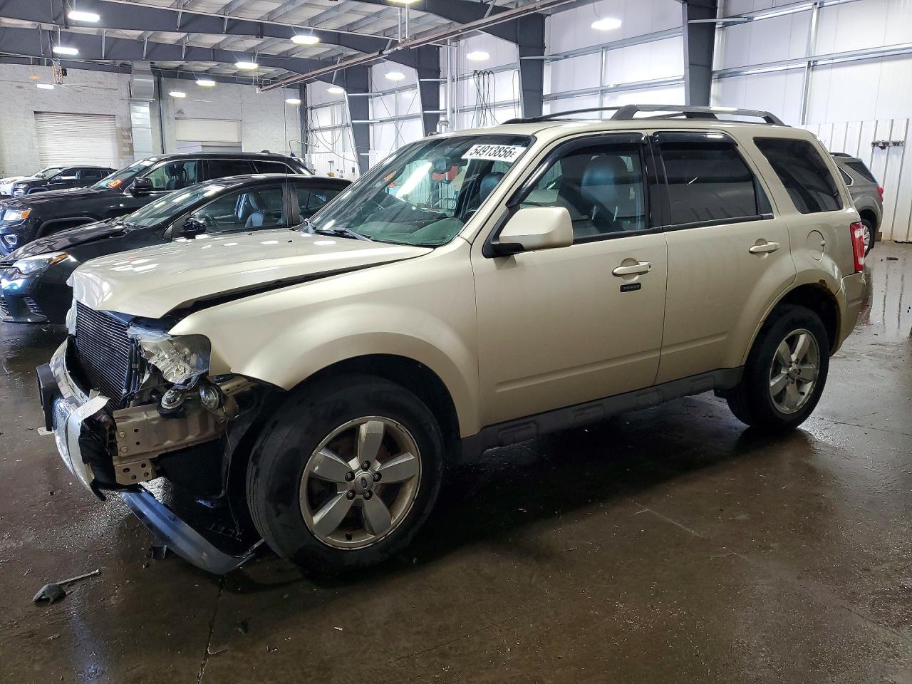 Salvage Ford Escape Image