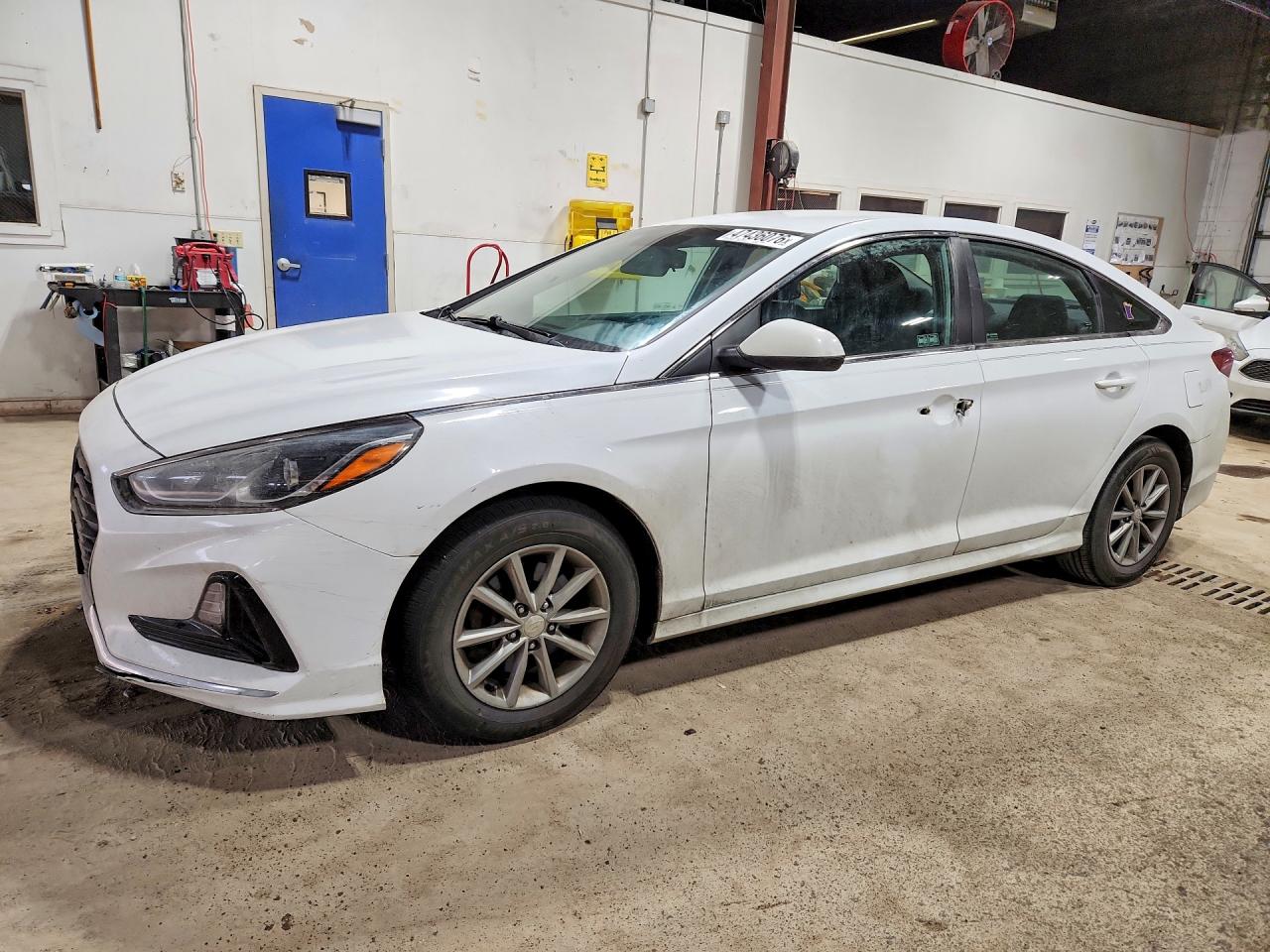 Salvage Hyundai SONATA Image