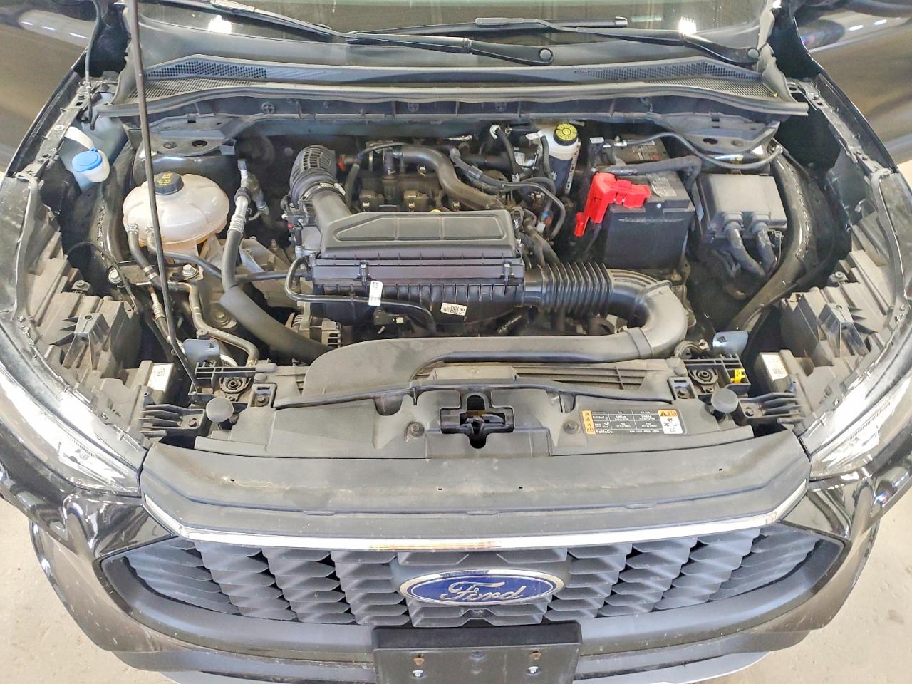Ford Escape Active