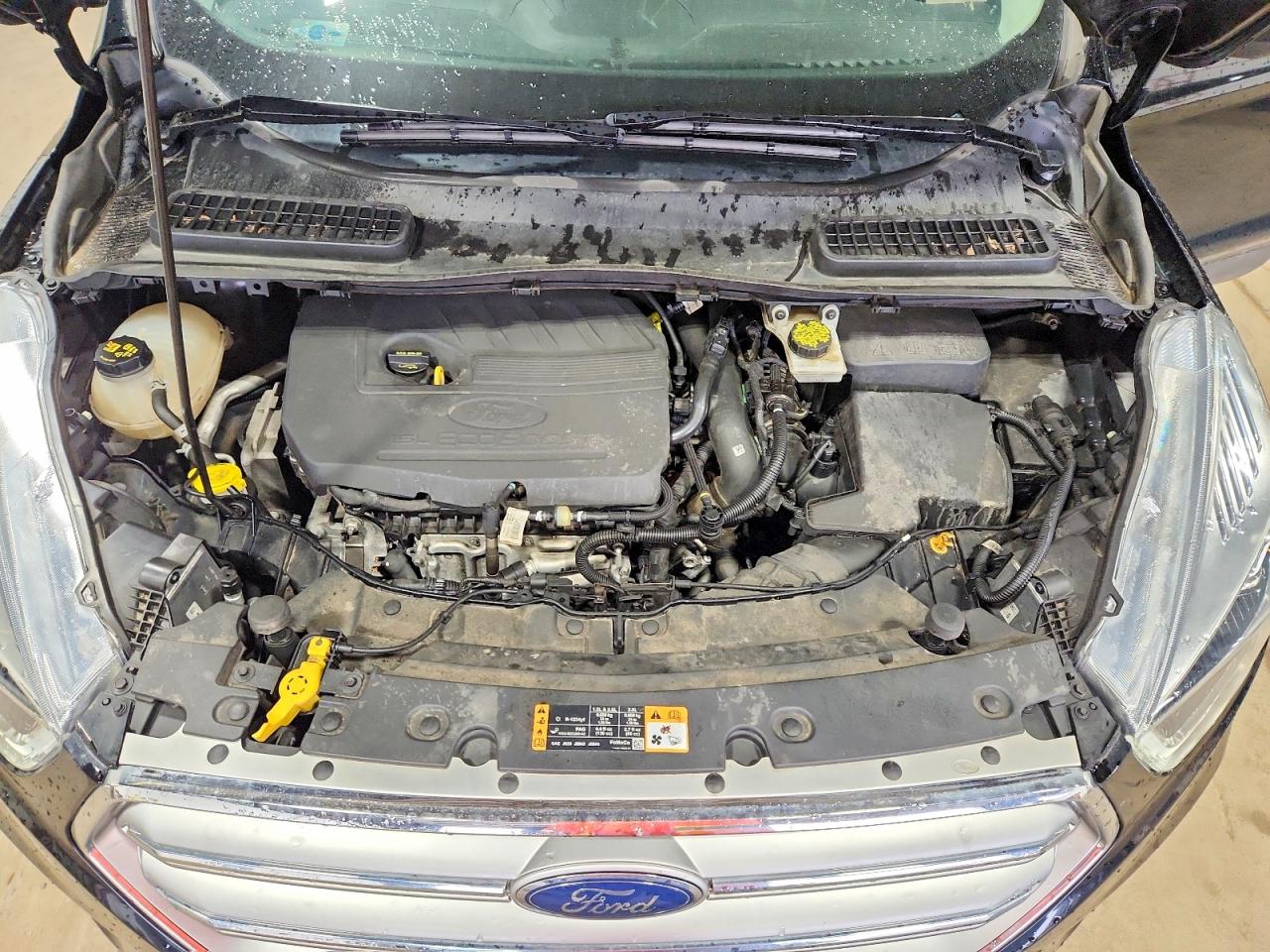 Ford Escape Se