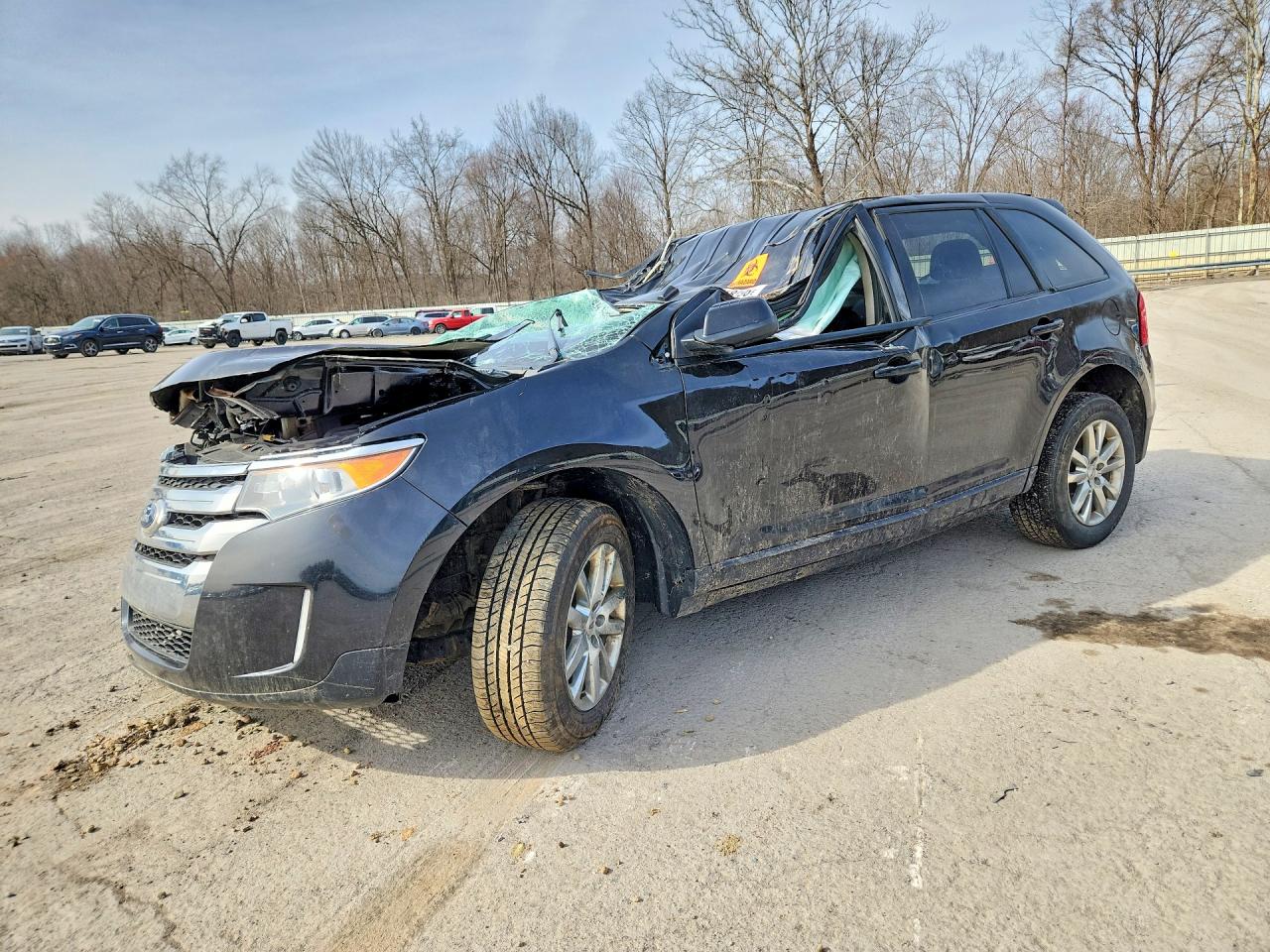Salvage Ford Edge Image