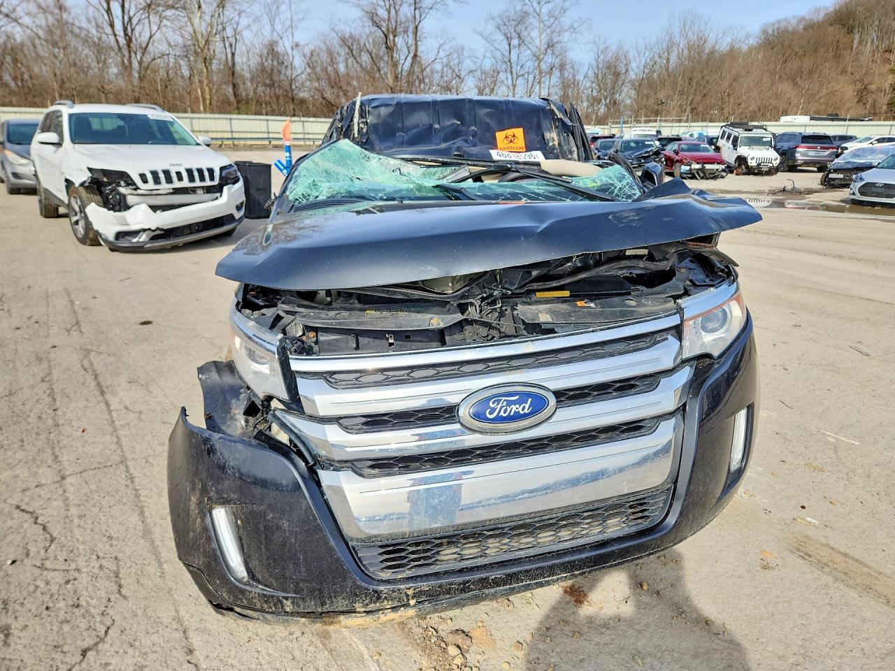 Ford Edge Sel