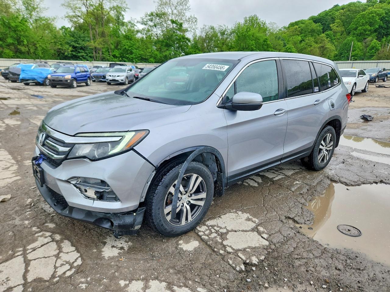 Salvage Honda Pilot Image