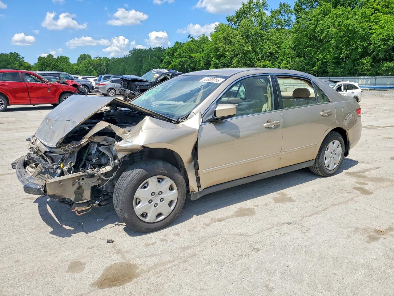 Salvage Honda Accord Image