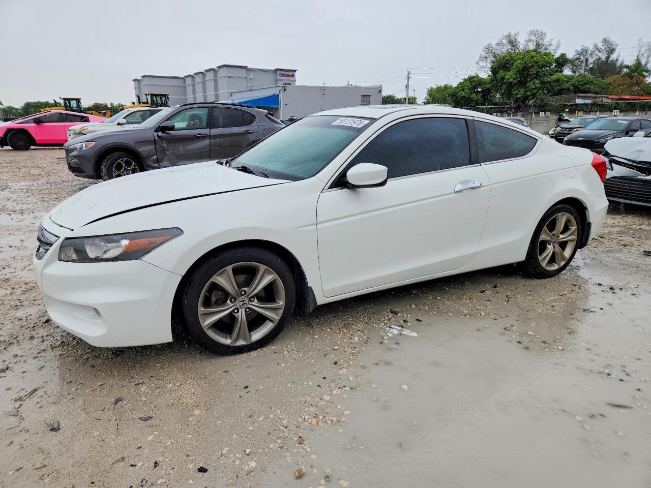 Salvage Honda Accord Image