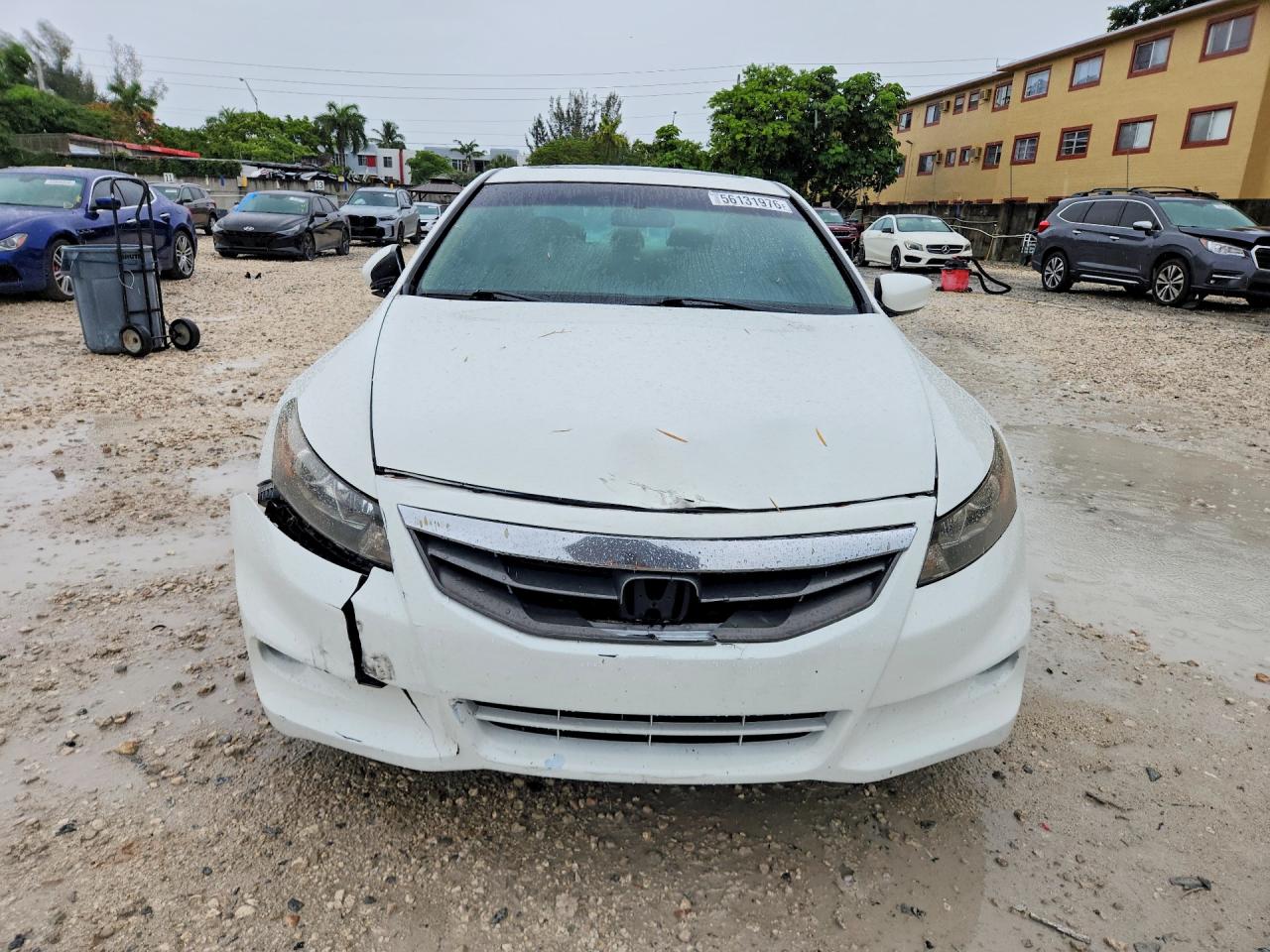 Honda Accord Exl