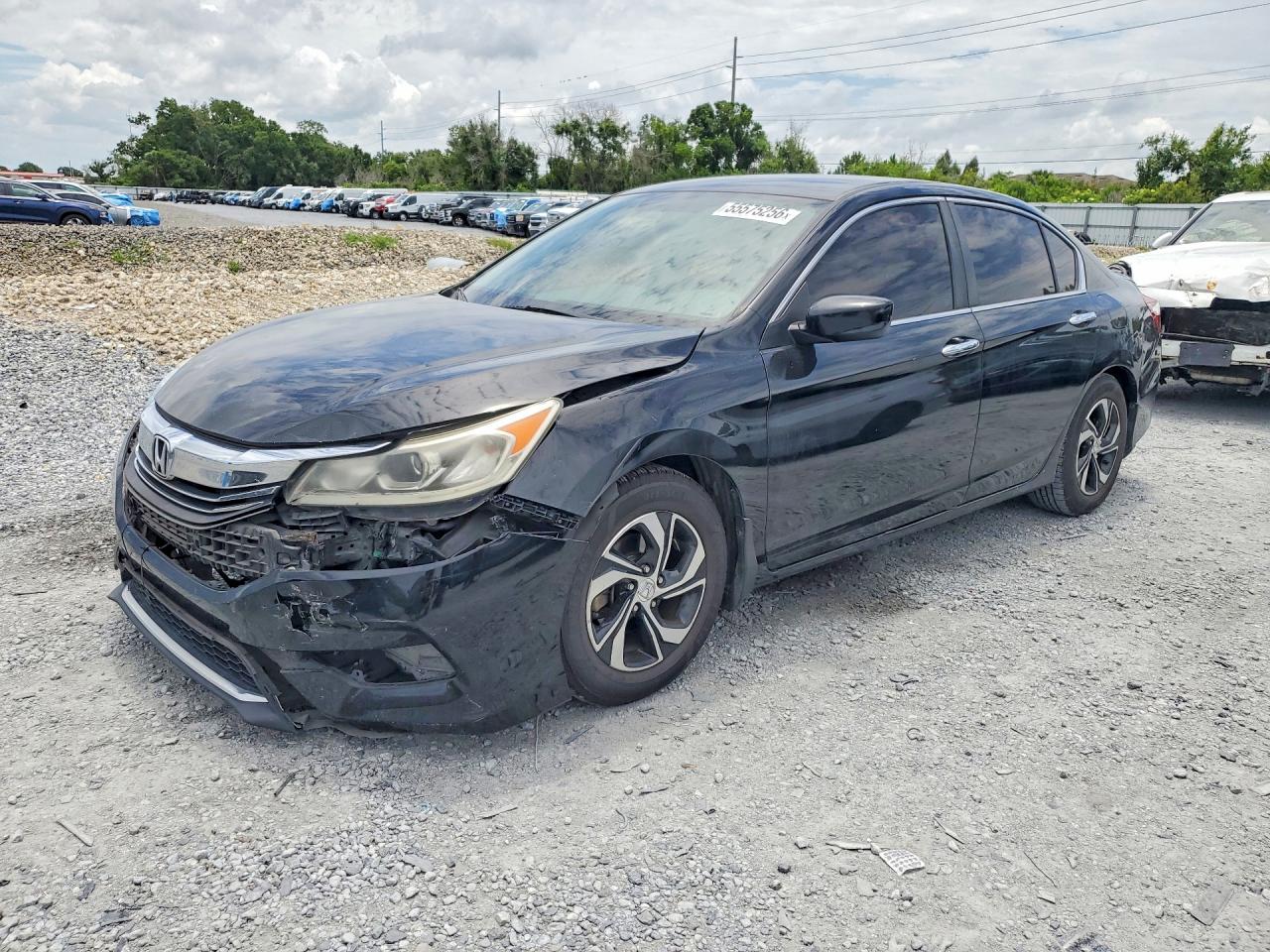 Salvage Honda Accord Image
