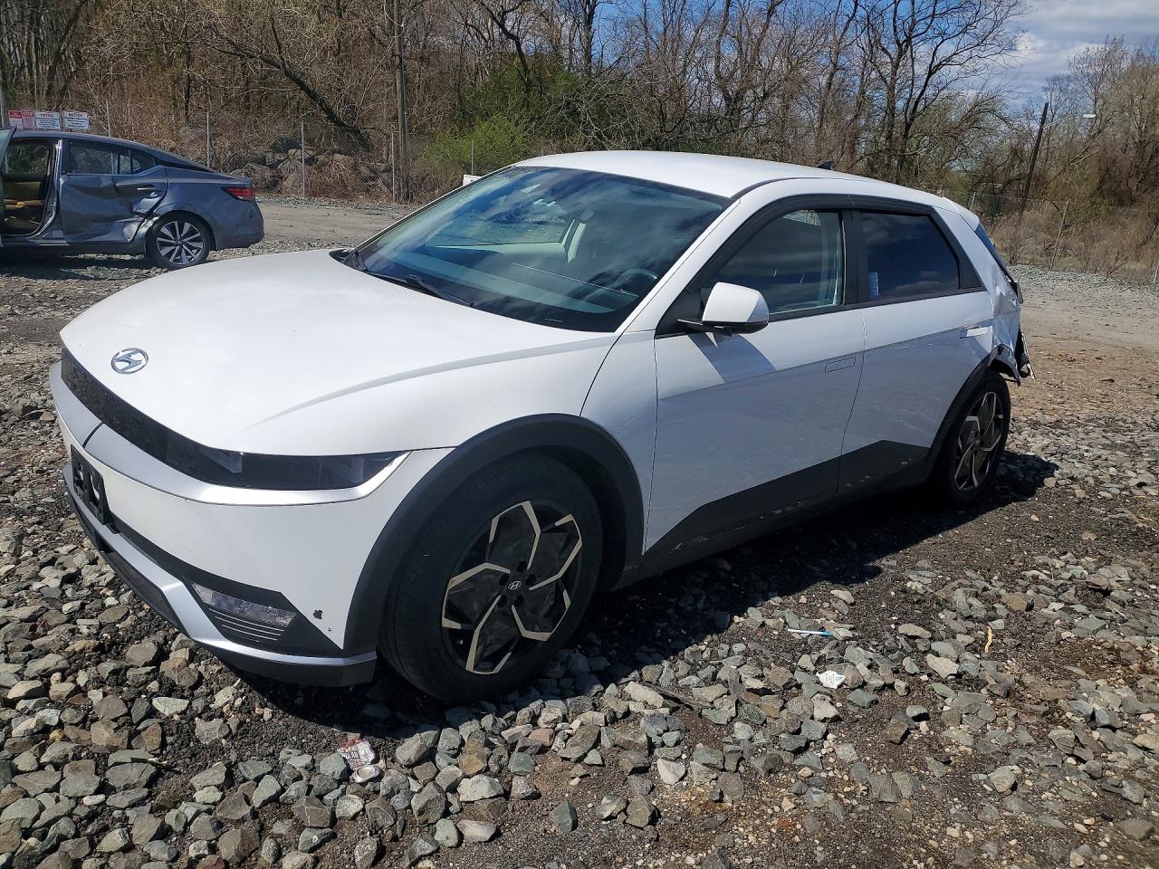 Salvage Hyundai Ioniq Image