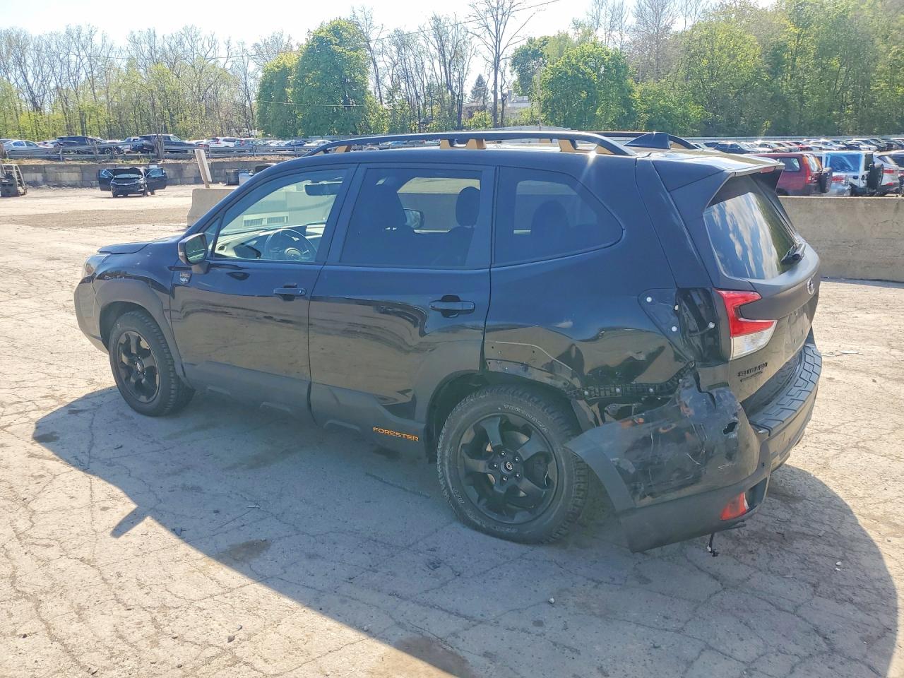 Subaru Forester Wilderness