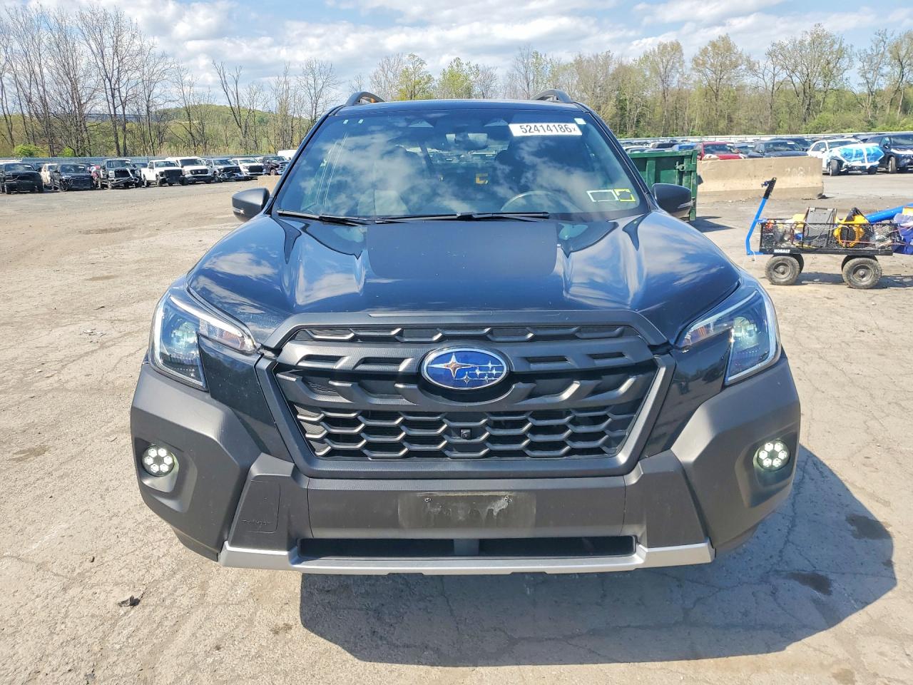 Subaru Forester Wilderness