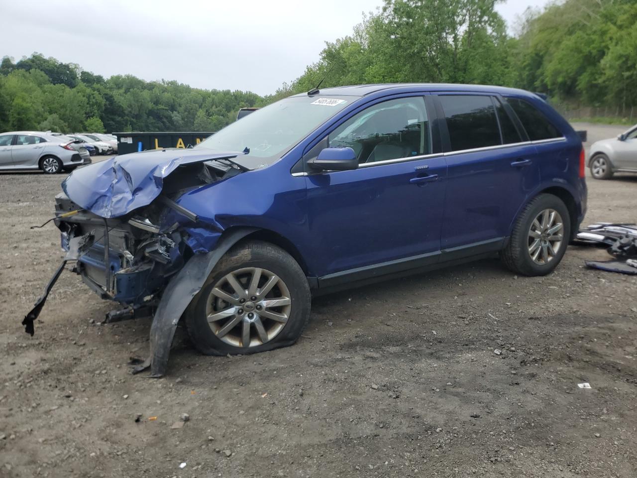Salvage Ford Edge Image