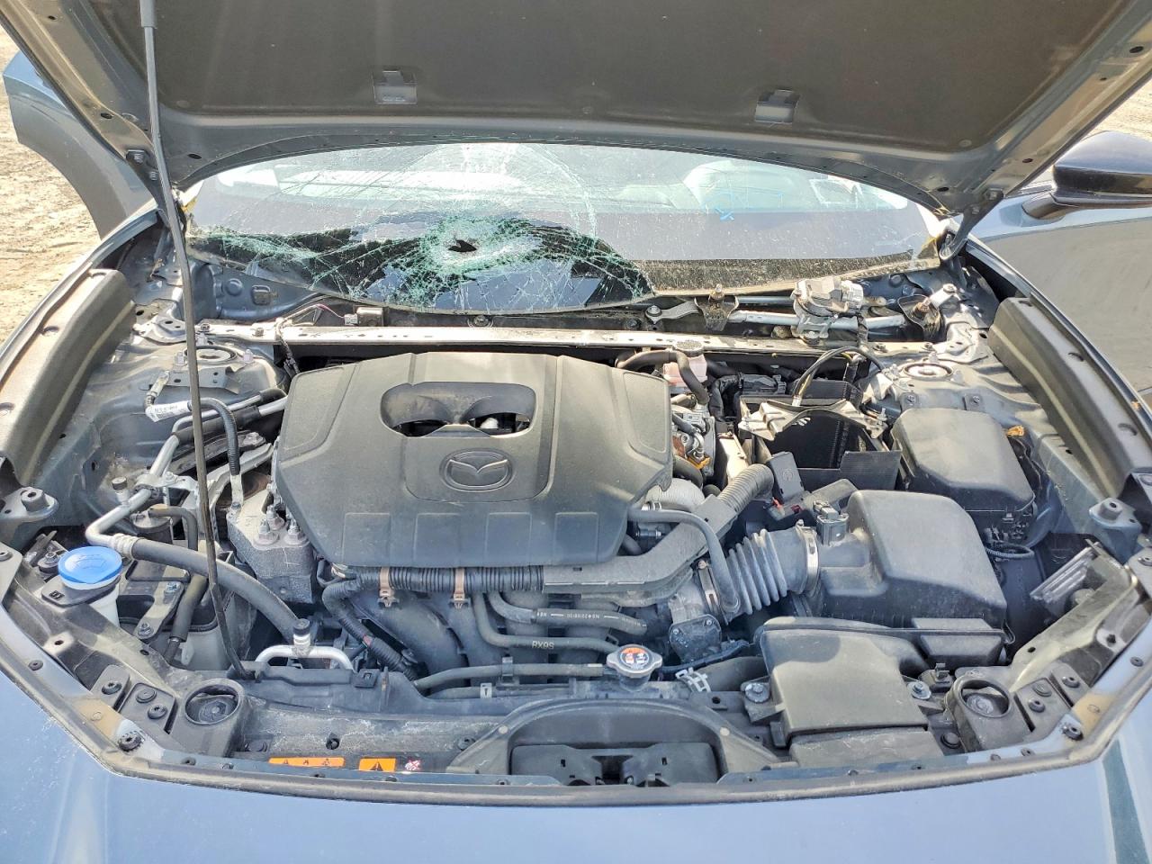 Mazda Cx Preferred