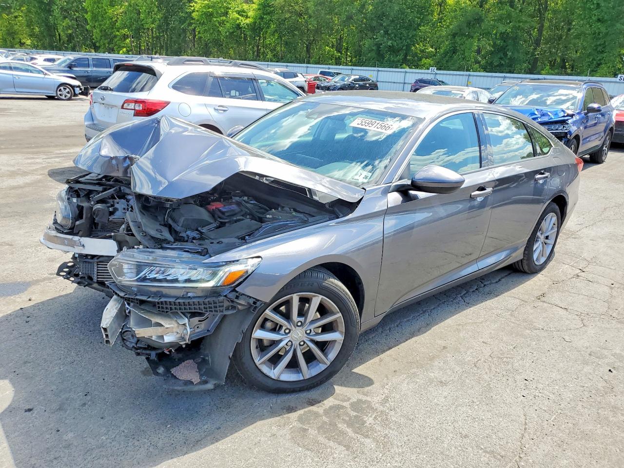 Salvage Honda Accord Image